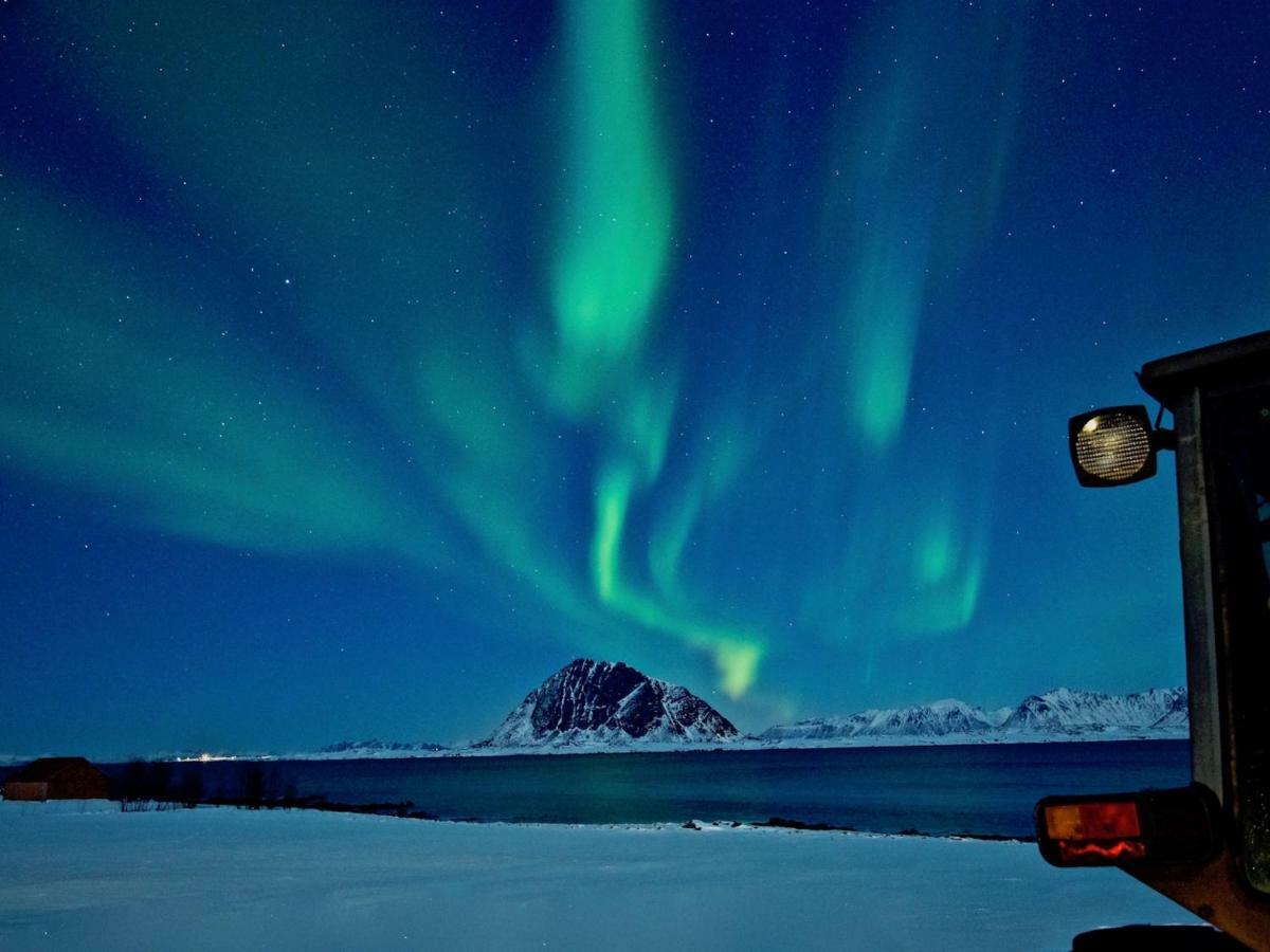 Elstad Farm Lofoten Bostad المظهر الخارجي الصورة